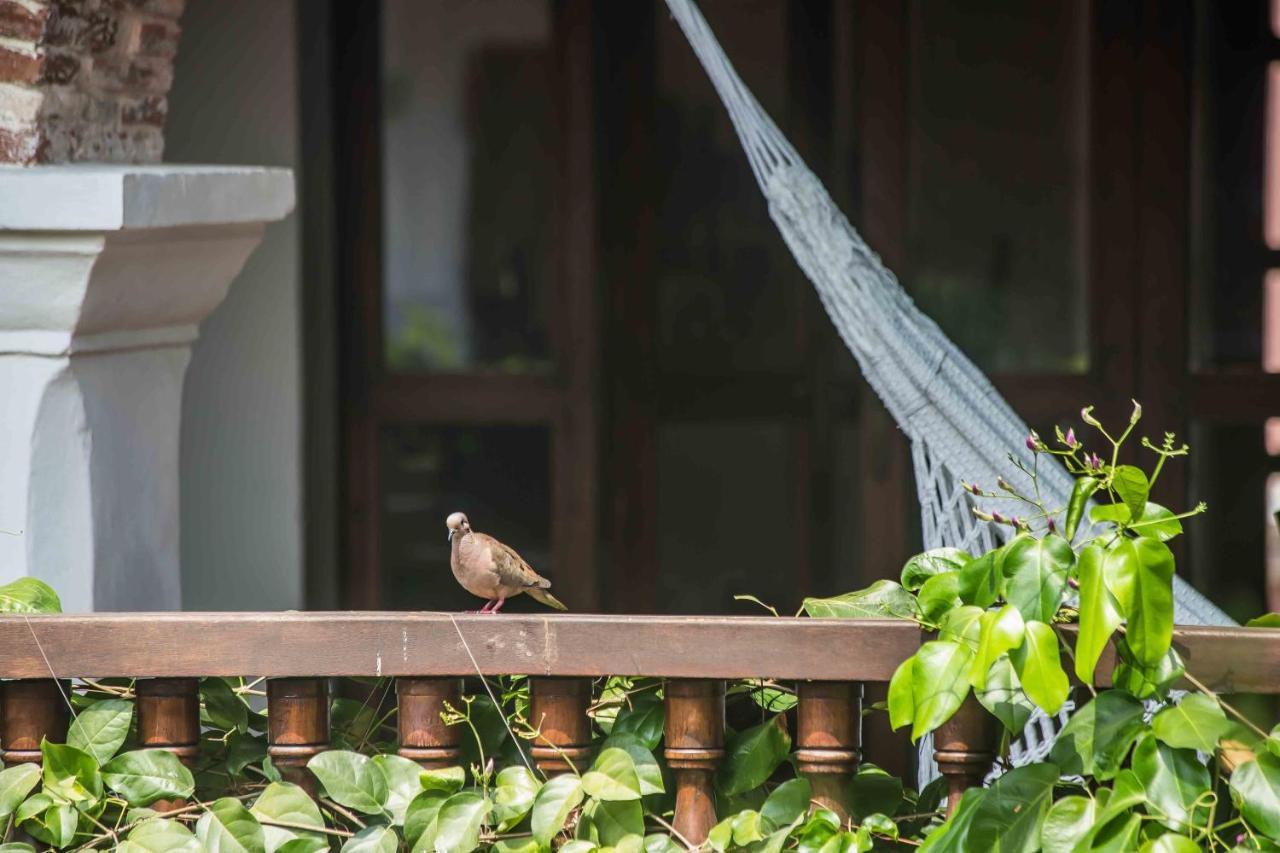 Hotel Boutique Casa Del Arzobispado Kartagena Zewnętrze zdjęcie