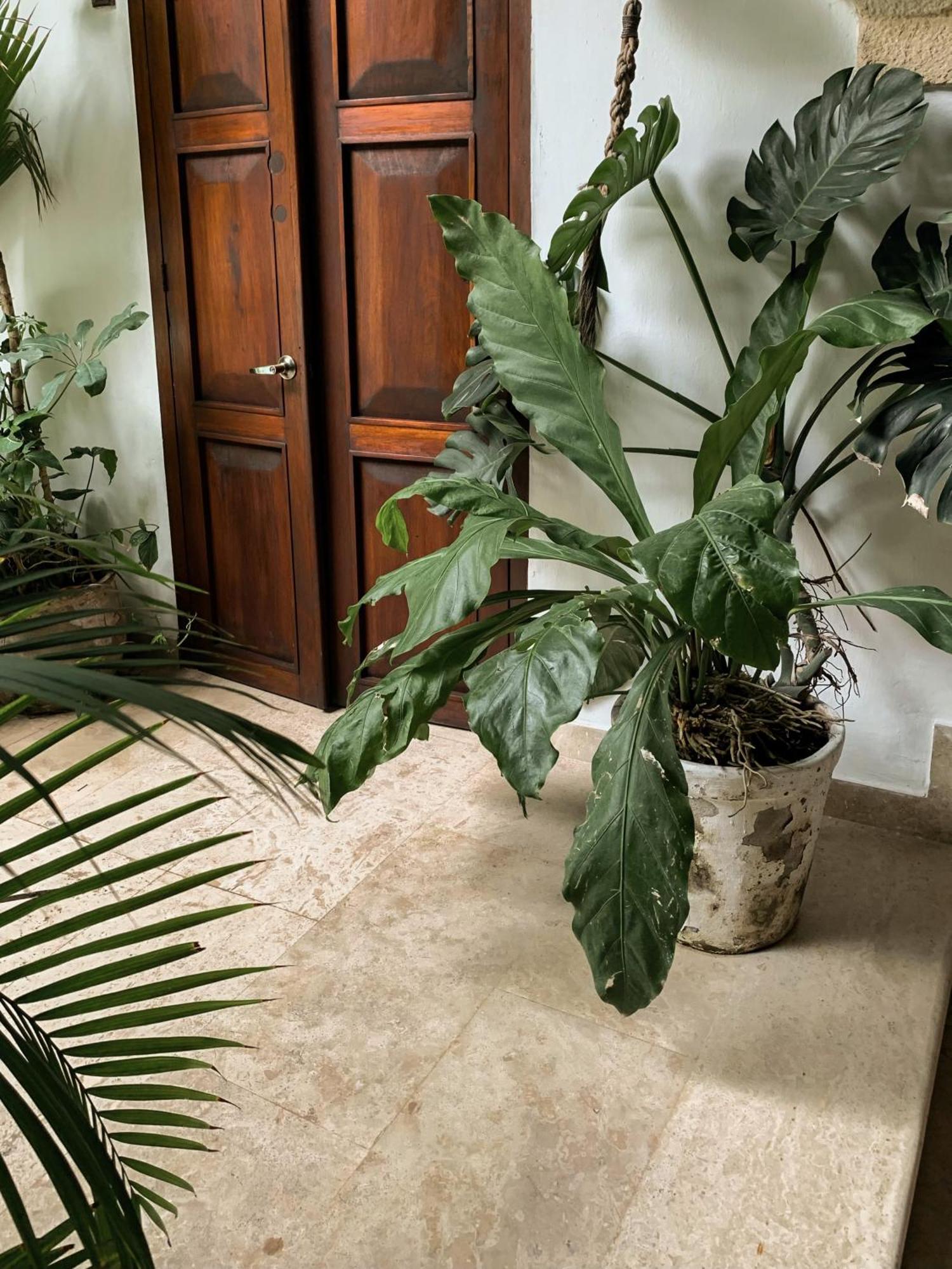 Hotel Boutique Casa Del Arzobispado Kartagena Zewnętrze zdjęcie
