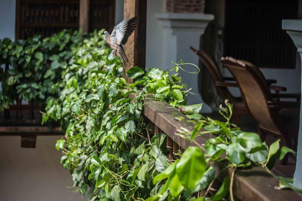 Hotel Boutique Casa Del Arzobispado Kartagena Zewnętrze zdjęcie